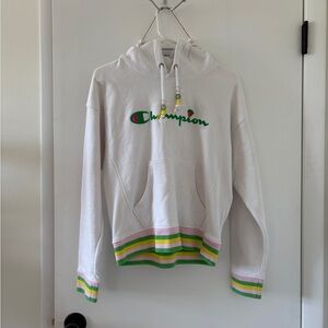 Champion collectors reverse weave fruit hoodie size small